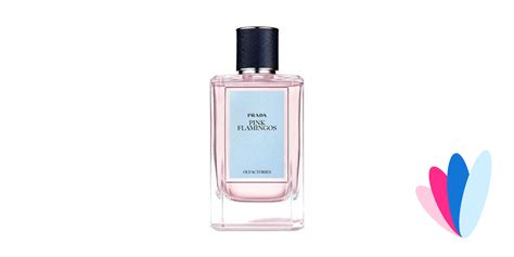 Pink Flamingos by Prada » Reviews & Perfume Facts